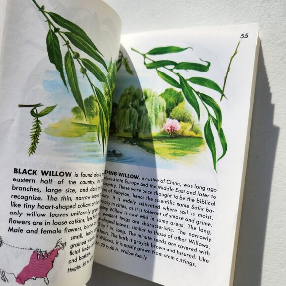Trees Field Guide Plants botany Golden Guides St. Martin's Press BOOKSHARK - Picture 11 of 14